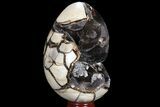 Bargain, Septarian Dragon Egg Geode - Sparkly Black Crystals #81350-2